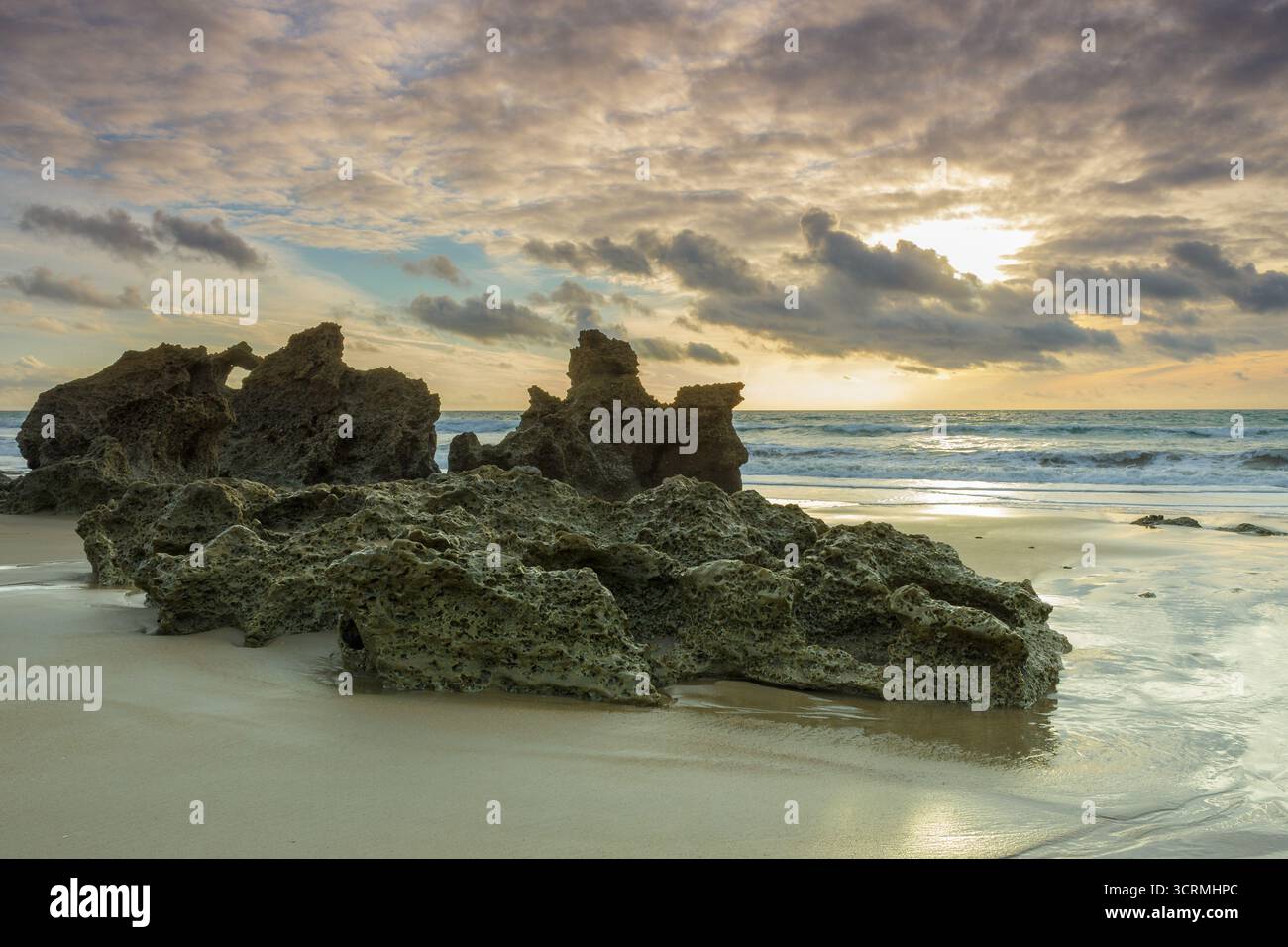 Primo piano di grandi rocce porose di arenaria sulla spiaggia. Le formazioni sono coperte da alghe, muschio e licheni, a indicare l'interazione dei mari Foto Stock