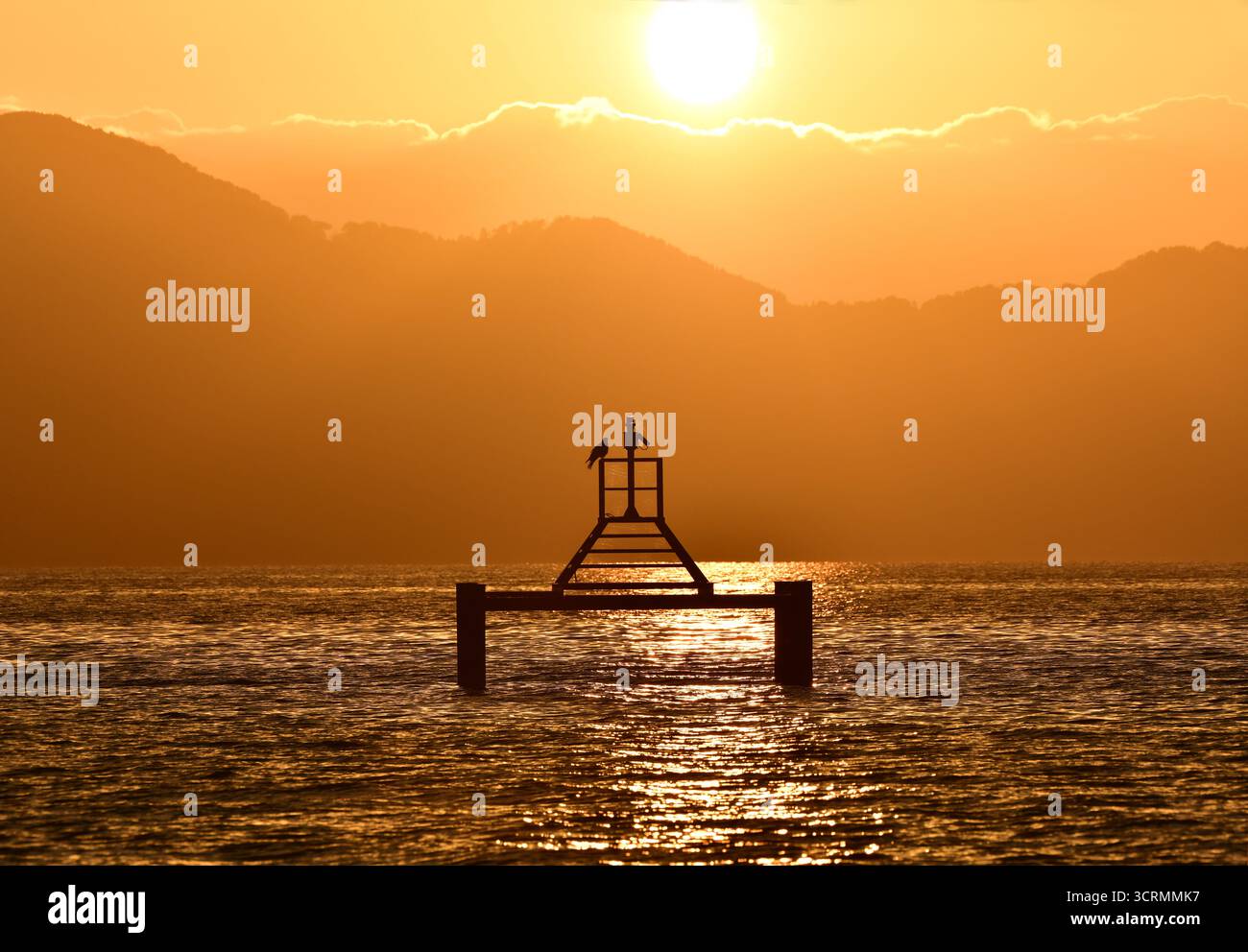 Alba panoramica sul lago Biwa, prefettura di Shiga. Giappone Foto Stock