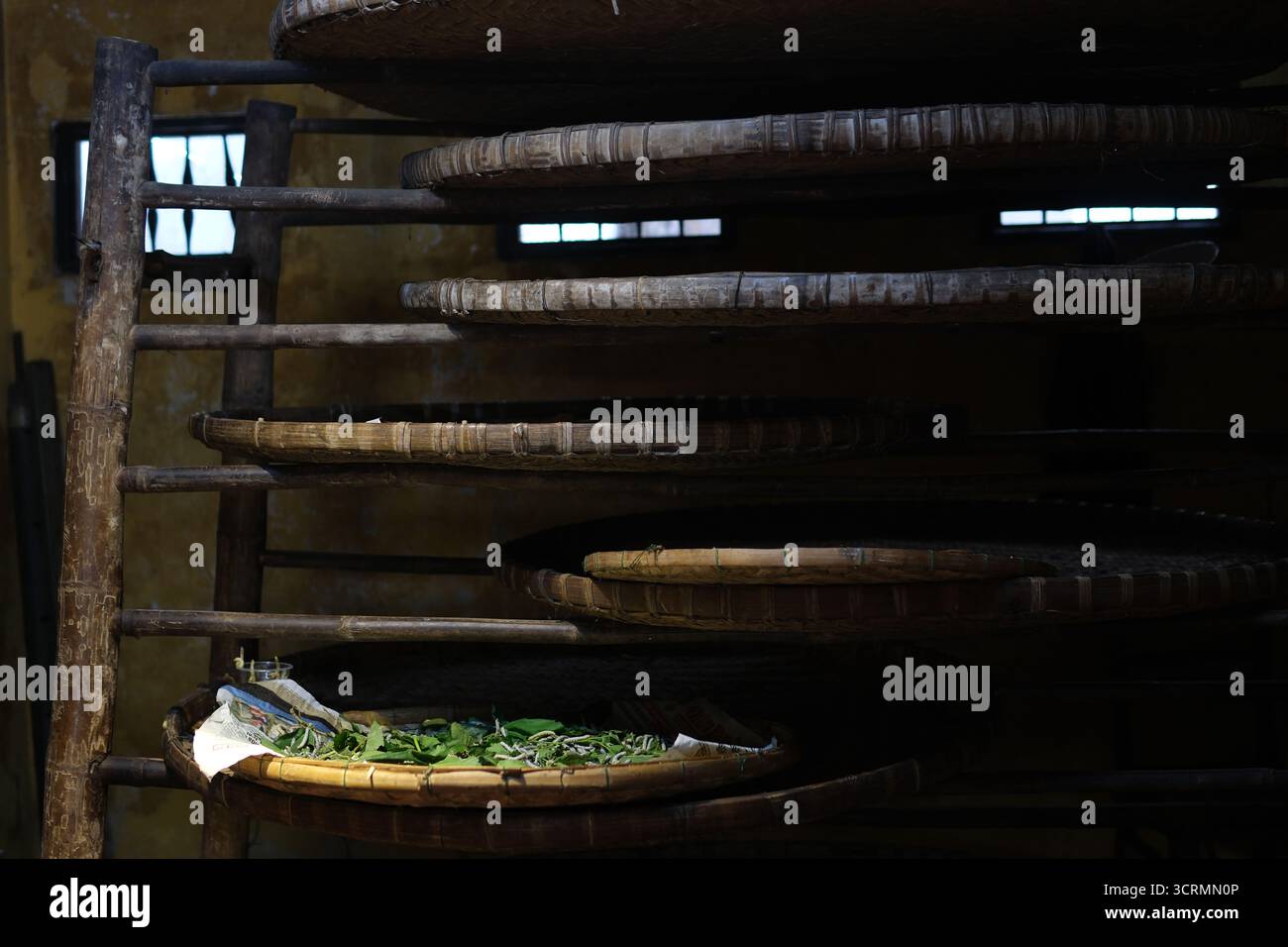 il tradizionale processo di produzione della seta crea con cura il tessuto di seta dall'inizio alla fine. Dalla filatura di finissimi fili di seta alla tessitura su telai in legno, questo artigianato artigianale riflette il patrimonio culturale e l'abilità. Foto Stock