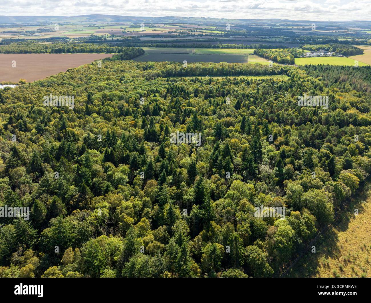Vista aerea della foresta verdeggiante che si estende verso campi lontani sotto un vasto cielo, un arazzo di verdi e marroni, Tranent, Scozia, Regno Unito. Foto Stock