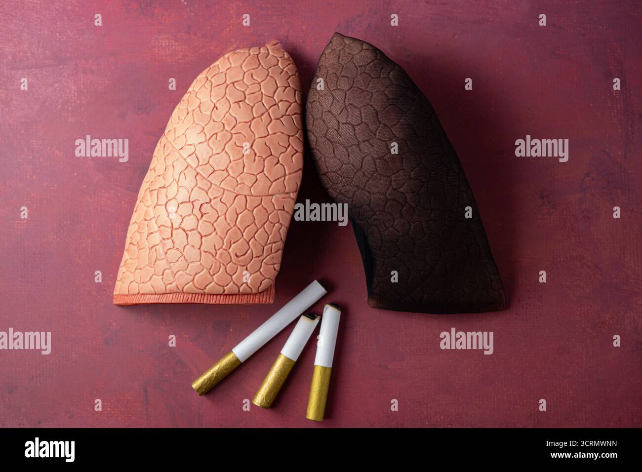 Polmoni di una persona malata e sigarette. No Smoking Day Concept su sfondo rosso con spazio per le copie Foto Stock