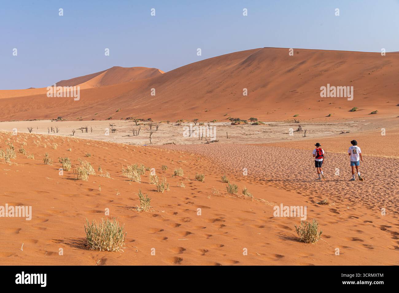 Due escursionisti visti da dietro camminano verso le torreggianti dune arancioni attraverso un deserto erboso a Sossusvlei, evocando avventura e dimensioni, la Namibia. Foto Stock