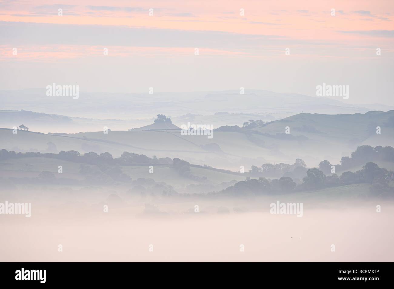 Marshwood vale, Dorset, Regno Unito. 2 ottobre 2025. Meteo nel Regno Unito: Nebbia mattutina a Marshwood vale. Una vista classica di Marshwood vale con l'iconica Colmer's Hill che emerge dalla nebbia in lontananza in una mattina autunnale. Crediti: Celia McMahon/Alamy Live News Foto Stock