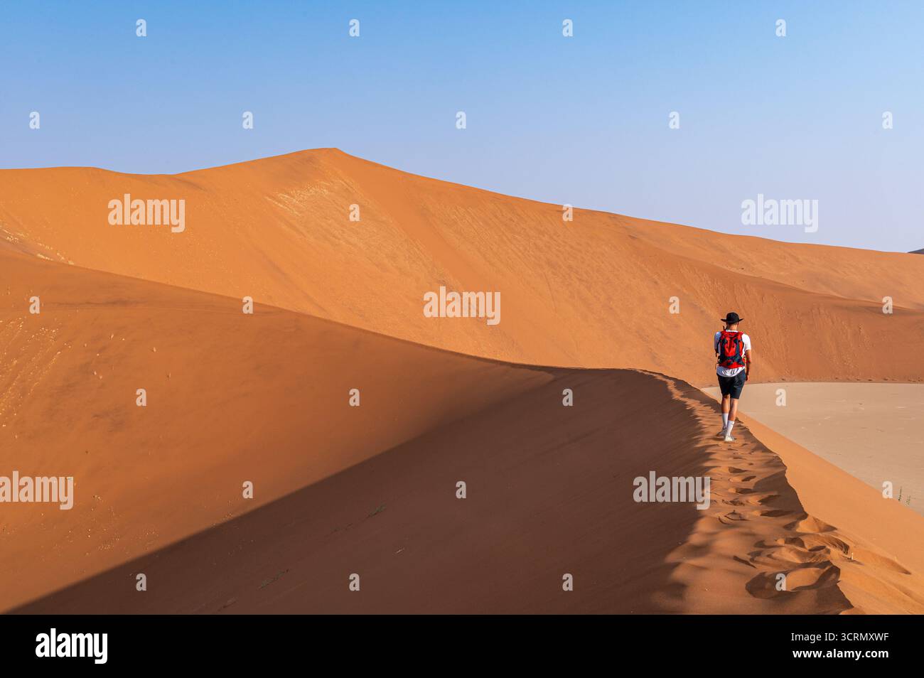 Escursionista solitario visto da dietro scalare l'ampia cresta di una vasta duna arancione, evocando avventura e scala, Sossusvlei, Namibia. Foto Stock