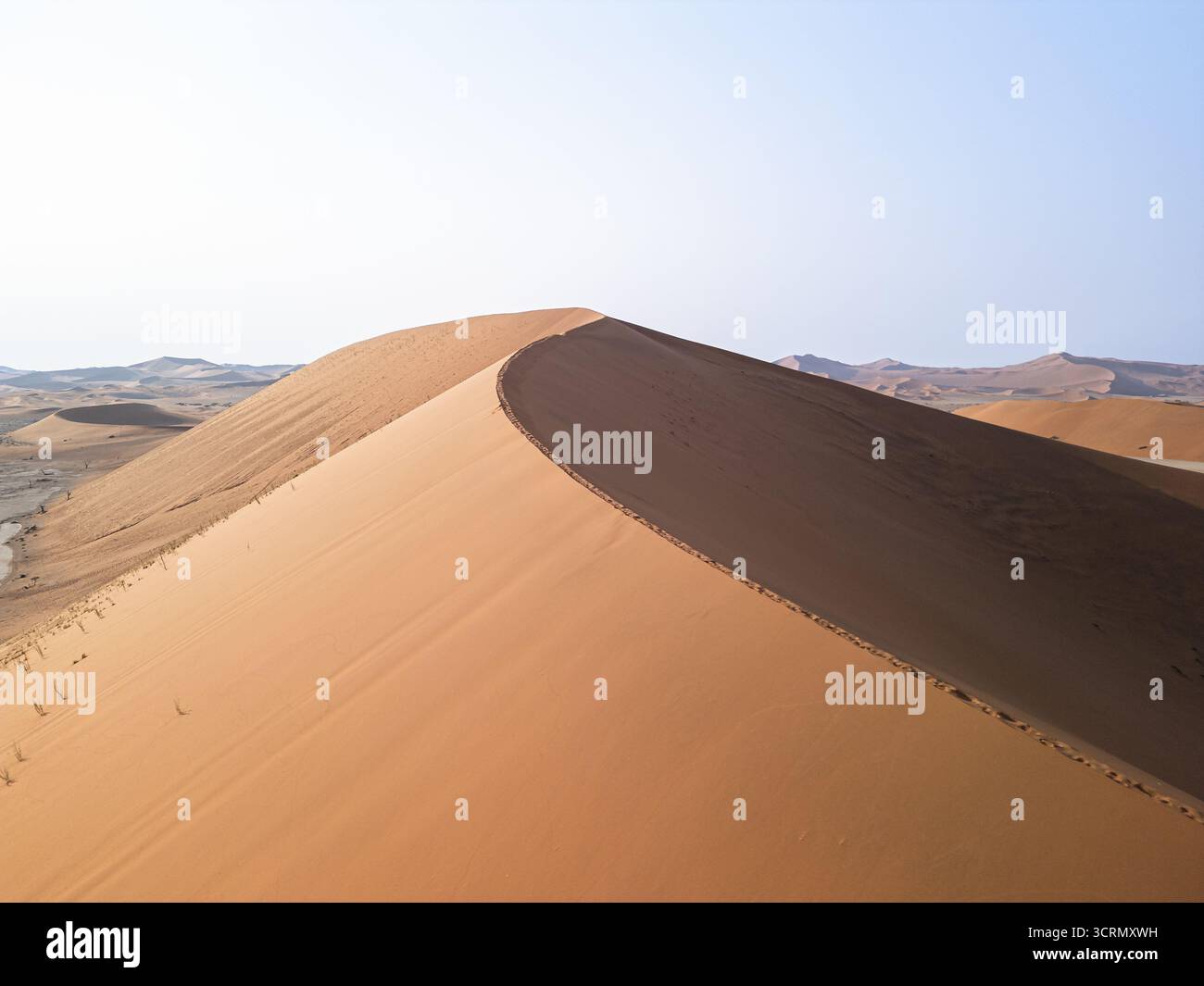 Vista sopraelevata lungo la cresta tagliata a coltello di una duna torreggiante che si snoda nella distanza nebbiosa, soleggiata e ombreggiata che incontra Sossusvlei, Namibia. Foto Stock