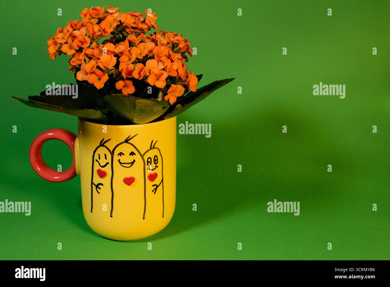 Tazza gialla con fiori d'arancio. Disegno con tre amici. Concetto del giorno dell'amicizia. Foto Stock
