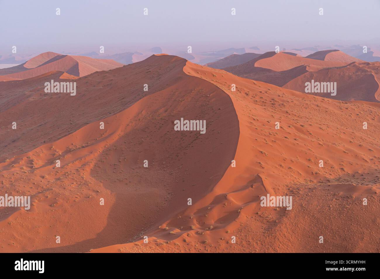 Panorama aereo di ampie dune ocra che si estendono in un orizzonte nebbioso, sinuose creste che proiettano ombre spettacolari sul vasto Namib, Namibia. Foto Stock
