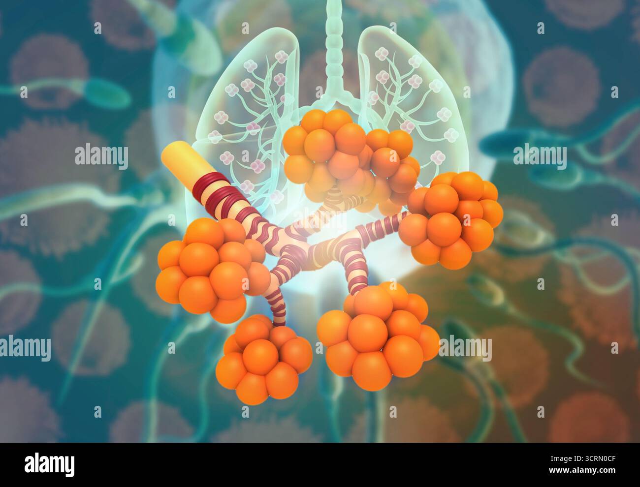 Alveoli nei polmoni su sfondo astratto. illustrazione 3d. Foto Stock