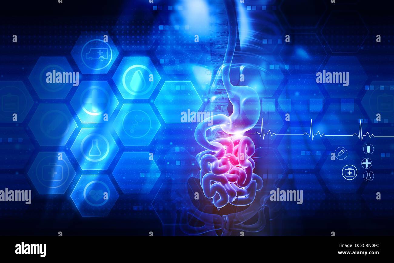 Anatomia del sistema digerente umano su sfondo scientifico astratto Foto Stock