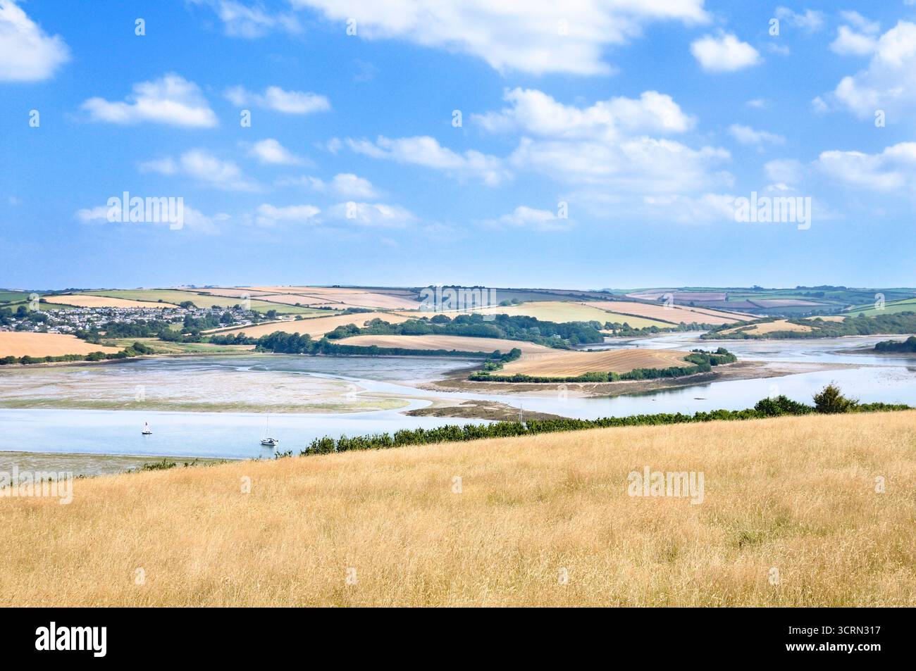 L'estuario di Kingsbridge scorre oltre il mosaico estivo di campi e siepi a West Charleton, vicino a Salcombe, South Devon National Landscape Inghilterra Regno Unito Foto Stock