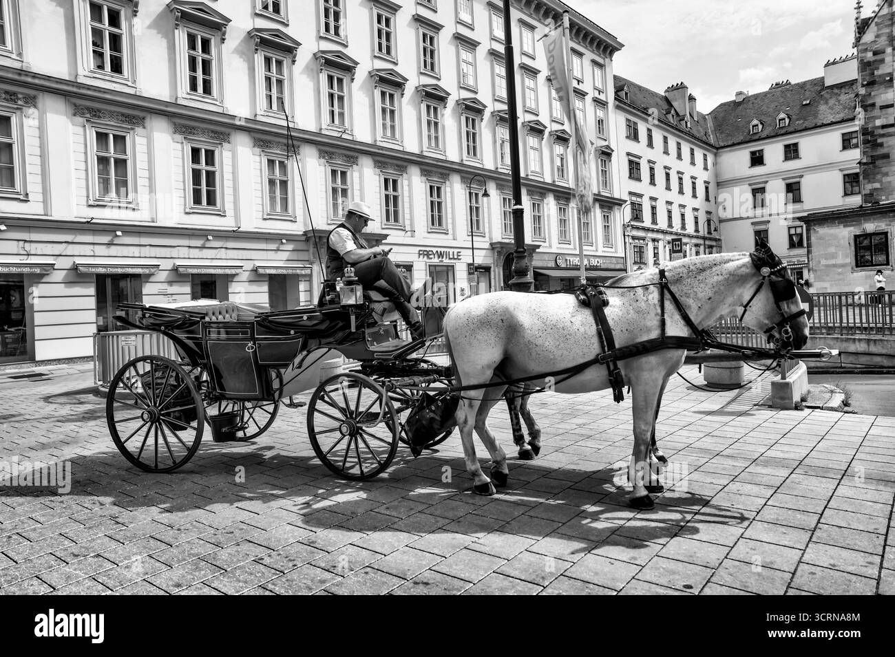 Immagine in bianco e nero di una tradizionale carrozza trainata da cavalli in attesa in una piazza acciottolata nel centro di Vienna, Austria Foto Stock