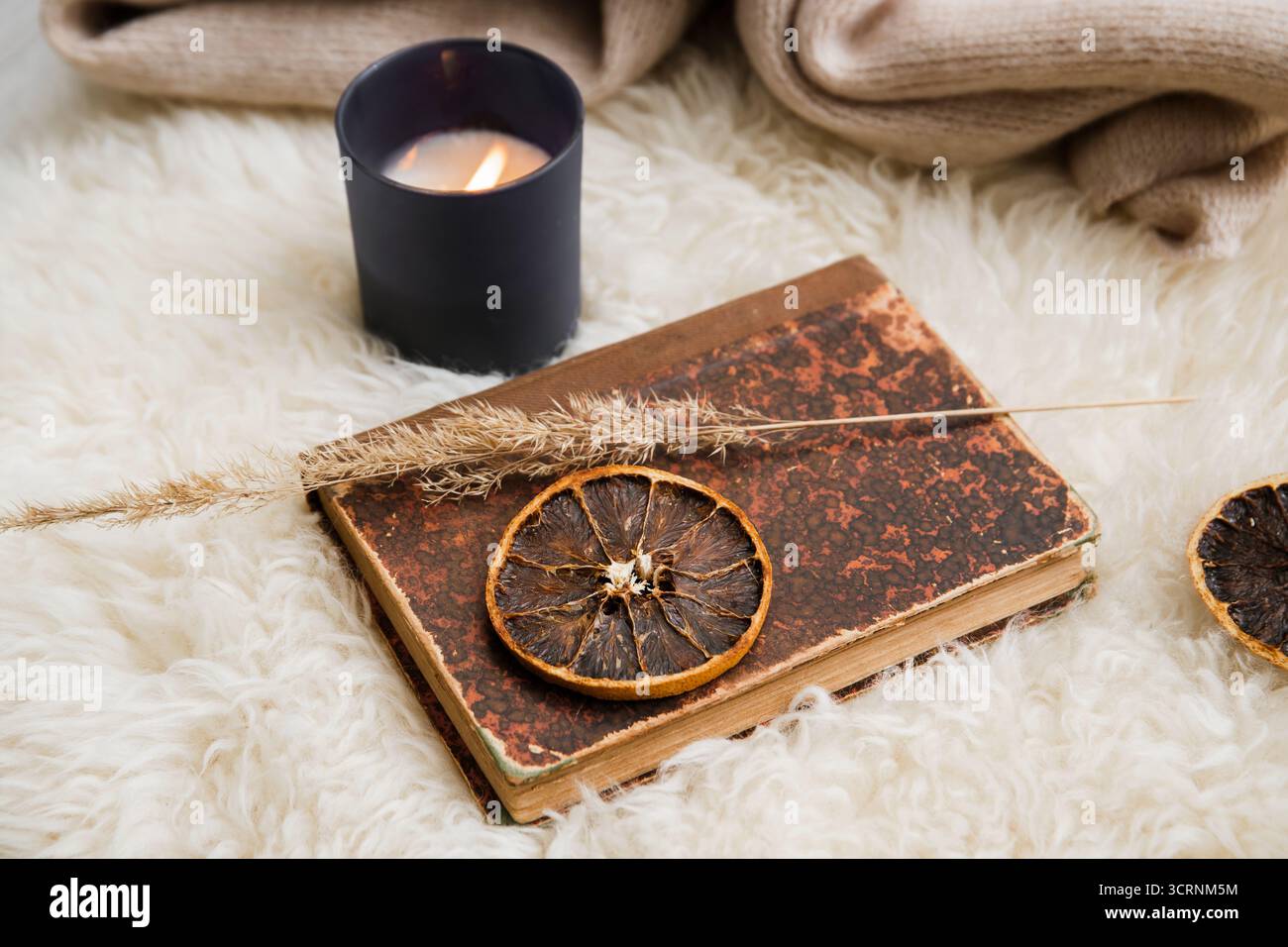 Un libro di carta vintage su morbida pelle di pecora, con canna secca, una fetta di arancia secca e una candela aromatica bruciata. Un accogliente set invernale-autunnale. Foto Stock