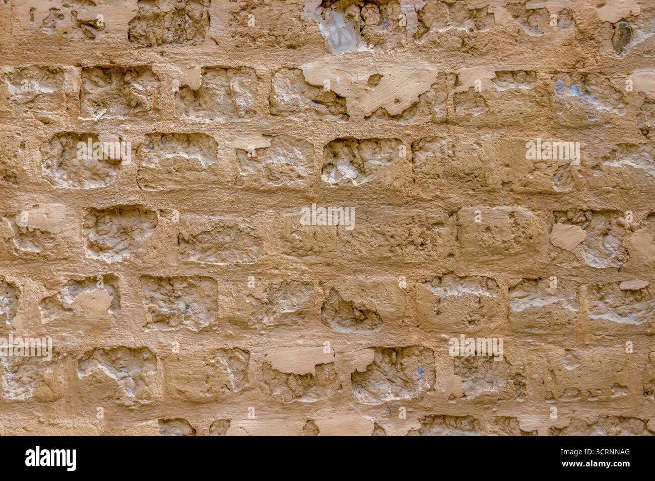 La struttura unica di una sezione del muro di adobe intemprato di una fattoria, nelle montagne andine orientali della Colombia centrale Foto Stock