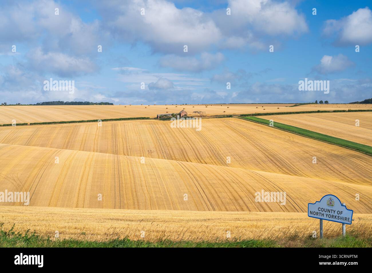 Le colline ondulate di gesso e la recente raccolta di mais lasciano linee sul paesaggio Foto Stock