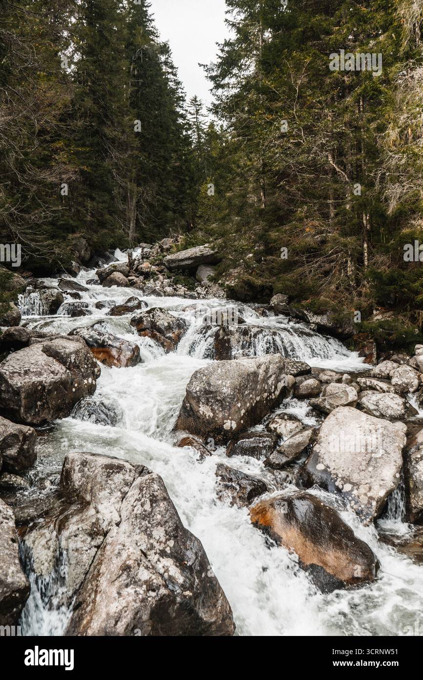 Ruscello panoramico di montagna che scorre attraverso il paesaggio roccioso della foresta Foto Stock