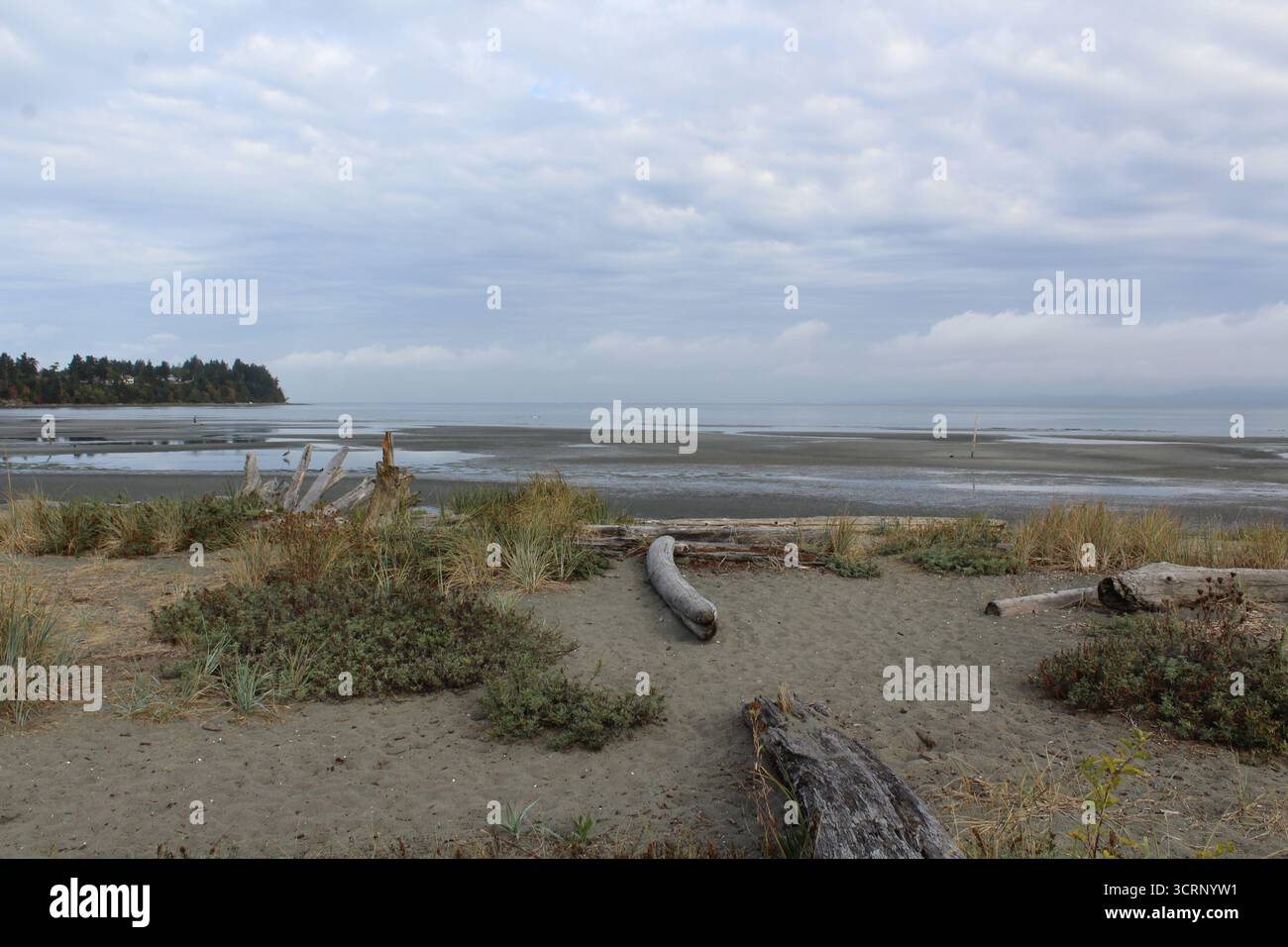 Spiaggia di Parksville, Vancouver Island Foto Stock