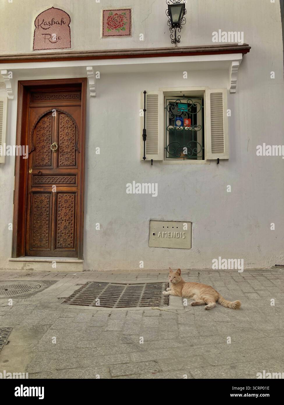 Gatto di tabby arancione che poggia su un pavimento di pietra nella vecchia Kasbah Medina di Tangeri, Marocco. Tranquilla scena stradale catturata il 1° ottobre 2025. Foto Stock