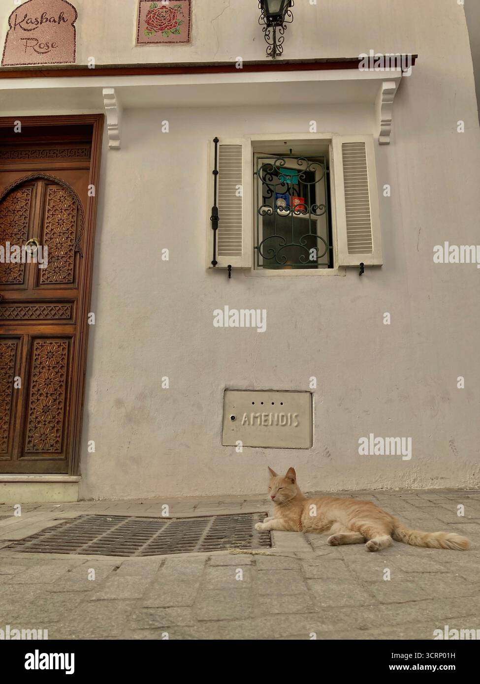 Gatto di tabby arancione che poggia su un pavimento di pietra nella vecchia Kasbah Medina di Tangeri, Marocco. Tranquilla scena stradale catturata il 1° ottobre 2025. Foto Stock