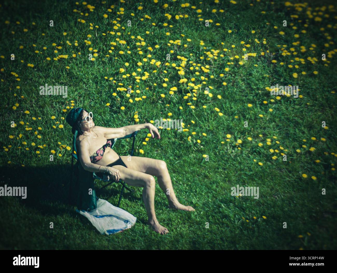 Una donna anziana prende il sole, seduta su una chaise longue in un campo di dente di leone Foto Stock