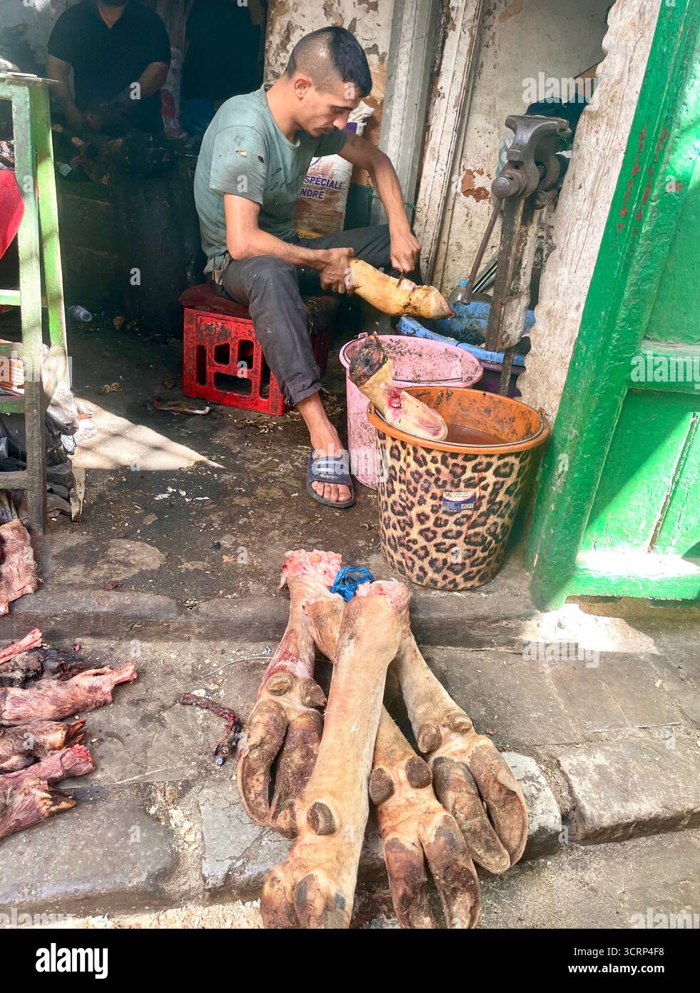 Un giovane macellaio maschile taglia le gambe di cammello in un piccolo negozio sporco nella medina di Tangeri, in Marocco. Le autorità affermano che la carne di cammello non è disponibile sul mercato, ma spesso si può trovare nei mercati. Foto Stock