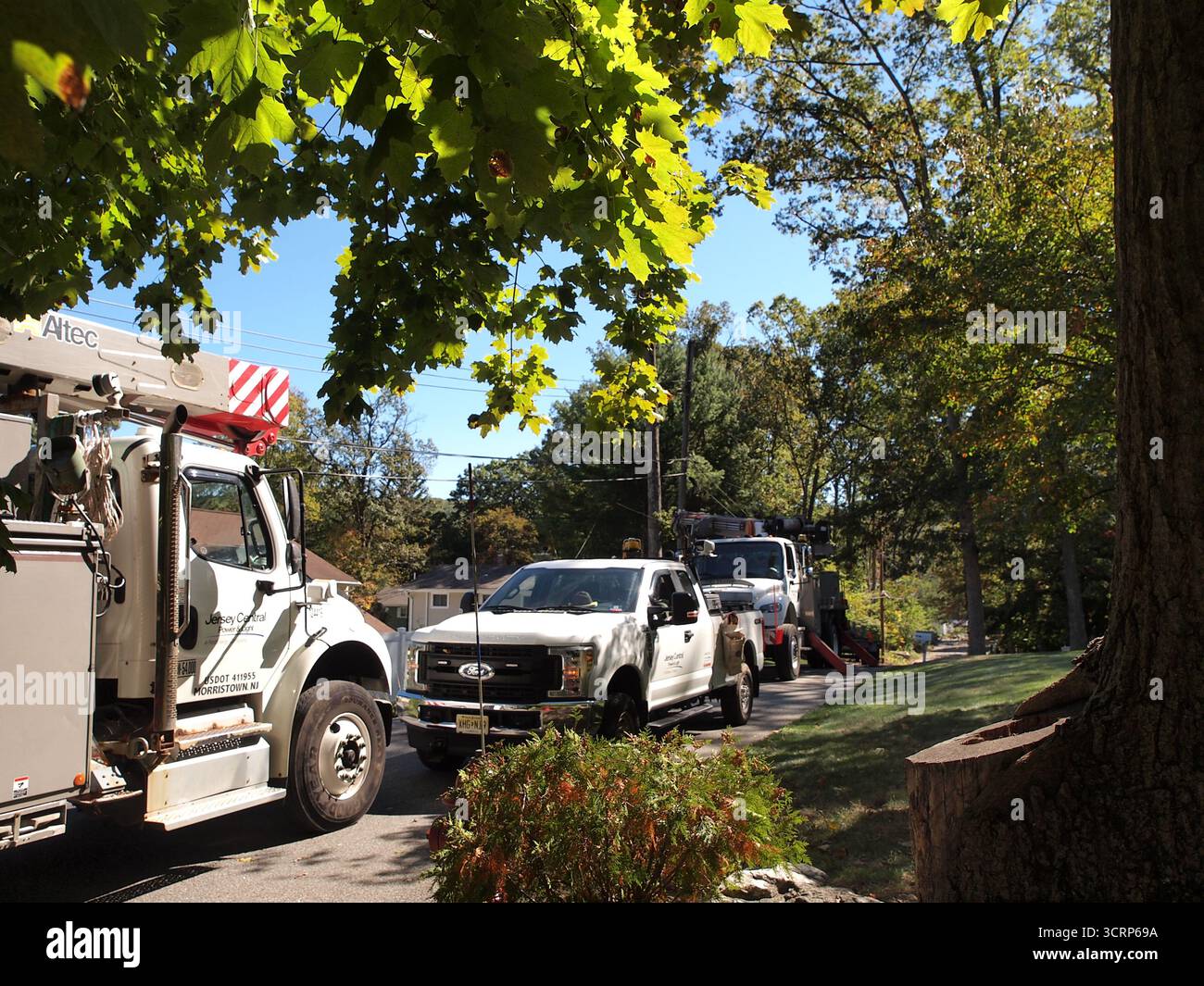 Equipaggi delle compagnie elettriche che riparano i danni causati da un albero caduto. Pali di servizio sostituiti da equipaggi. Dumper a benna per attrezzature pesanti. Foto Stock