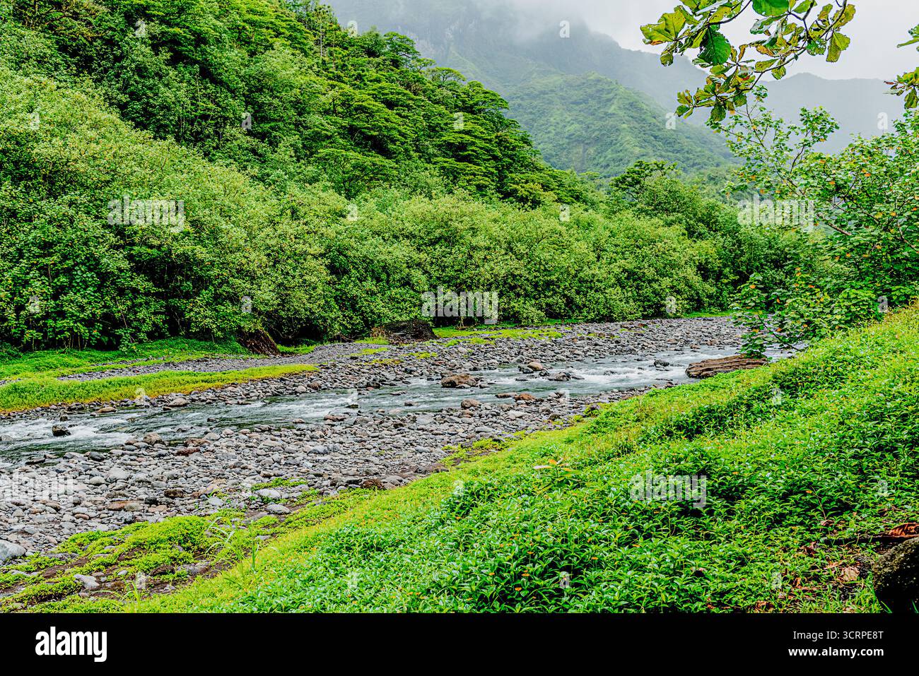 All'interno di un vulcano Tahitiano estinto Foto Stock