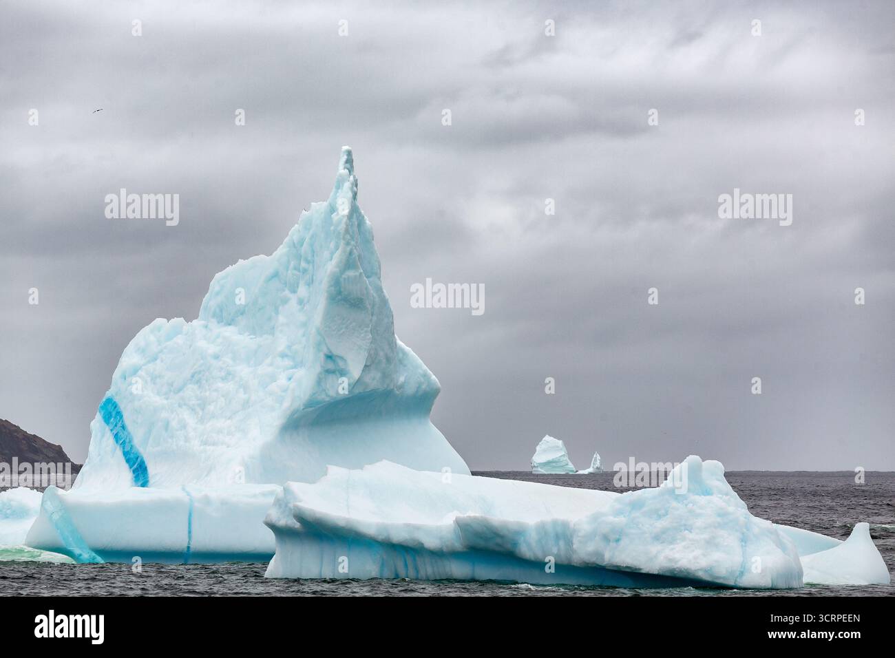 Una vista degli iceberg che galleggiano nell'oceano sotto un cielo nuvoloso, mostrando la bellezza naturale e le formazioni glaciali delle regioni artiche o antartiche. Foto Stock