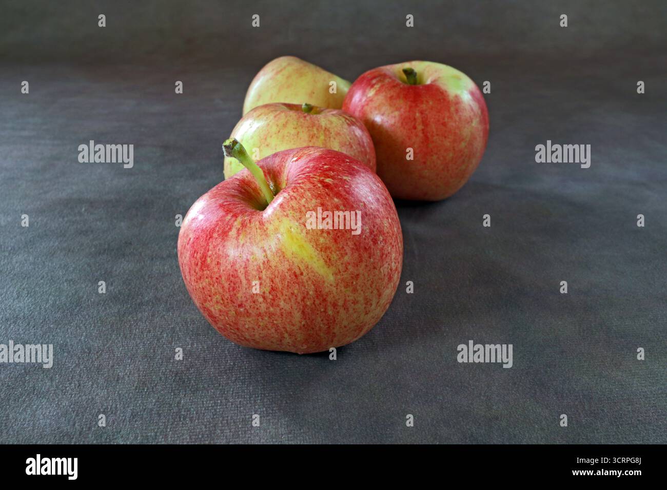 Mele mature McIntosh pronte per mangiare in una piccola fattoria di Bend, Oregon, in autunno. Foto Stock