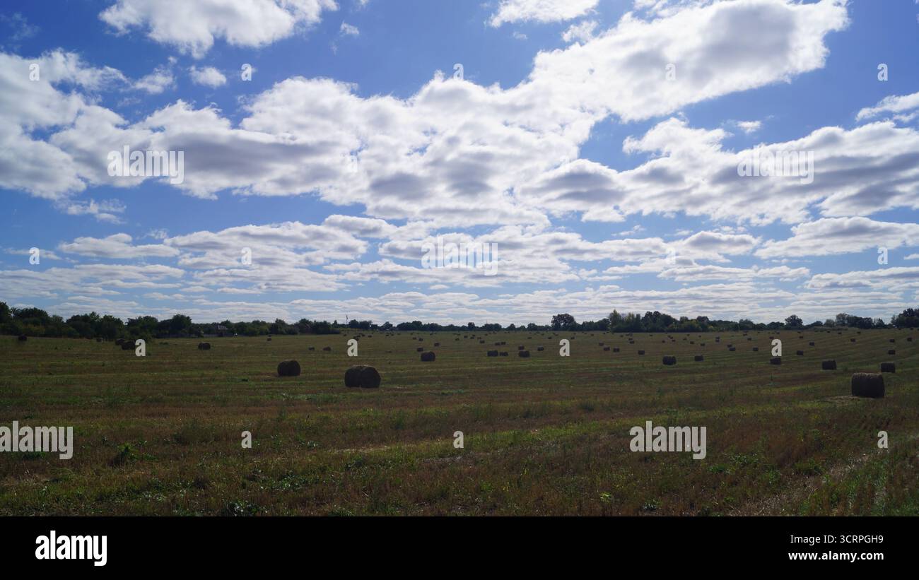 Un vasto campo con balle di fieno sparse sotto un cielo parzialmente nuvoloso. Foto Stock