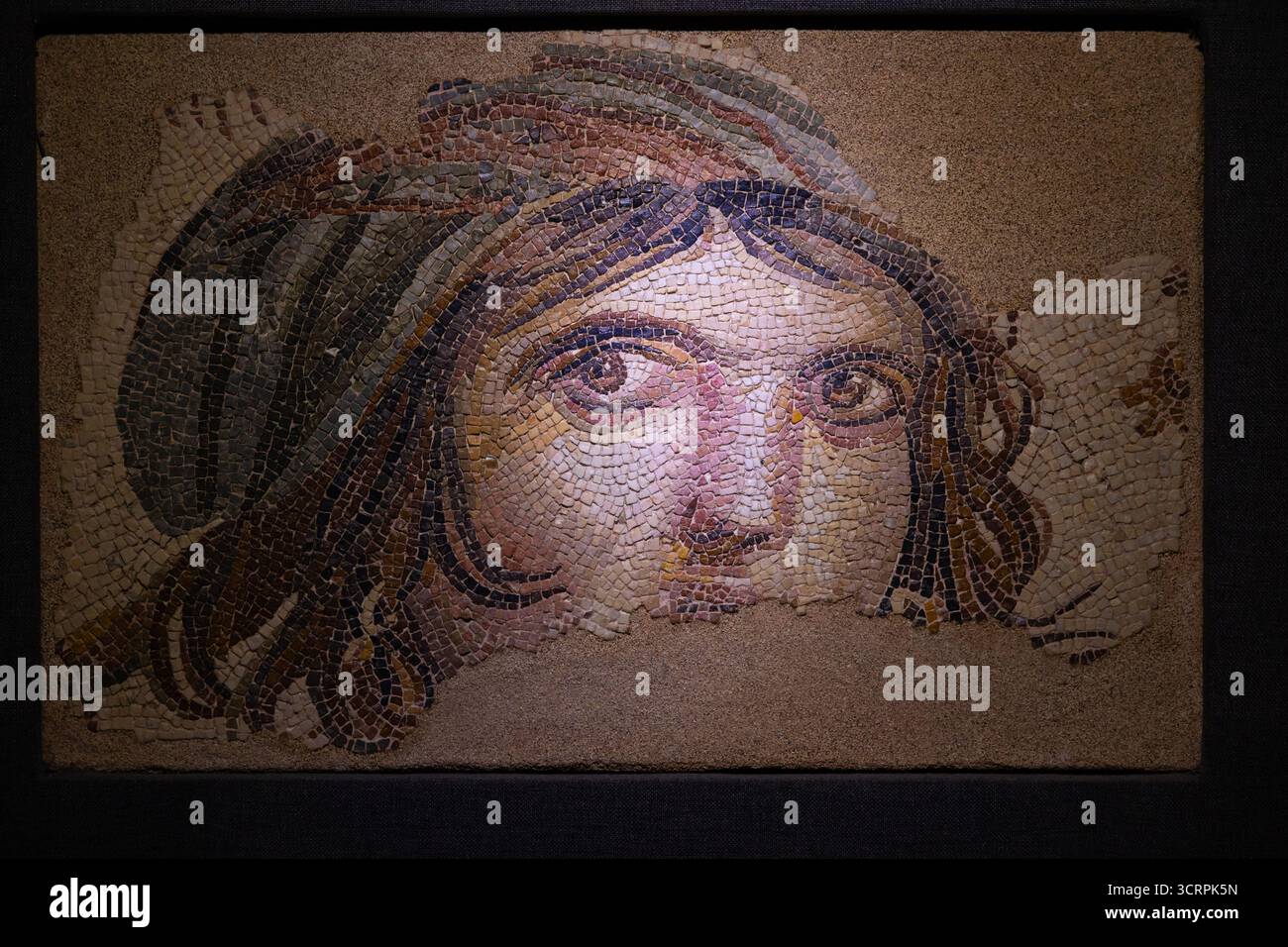 Famoso il Mosaico della ragazza zingara nel Museo del mosaico di Zeugma. Gaziantep Turchia - 6.24.2025 Foto Stock