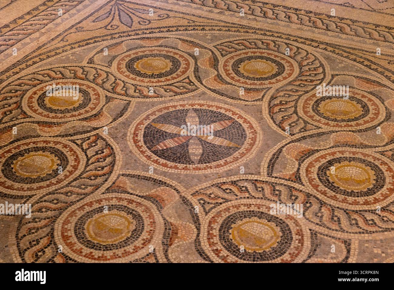 Mosaici del Museo dei mosaici di Zeugma. Visita la foto del concept della Turchia. Gaziantep Turchia - 6.24.2025 Foto Stock