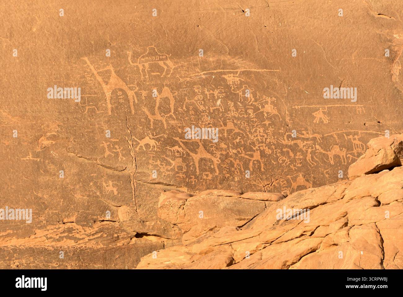 Antica arte rupestre nel deserto di Wadi Rum in Giordania, raffigurante animali e umani scolpiti nella roccia. Foto Stock