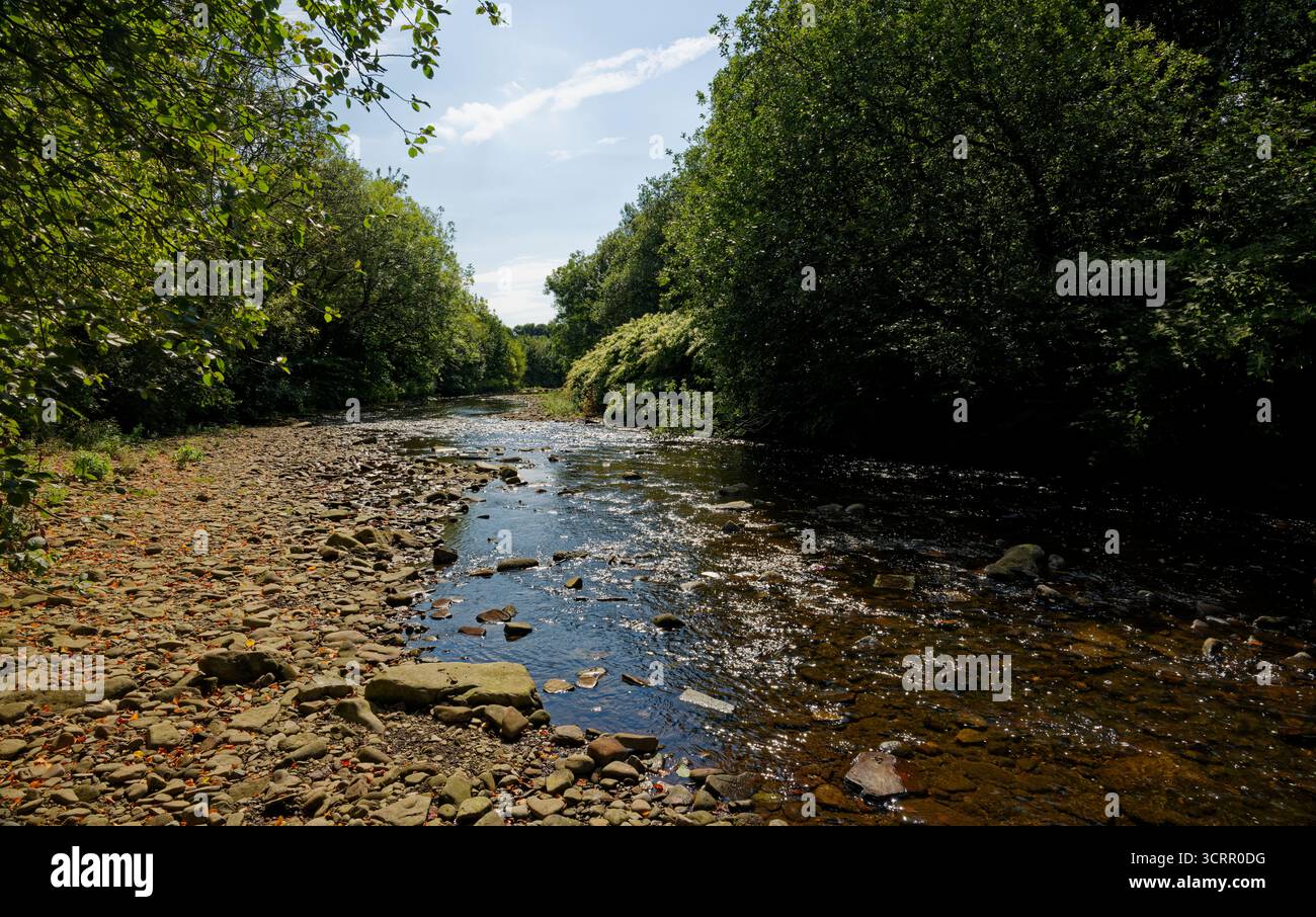 Il livello dell'acqua è basso nel fiume Irwell, in quanto passa attraverso un ambiente boscoso e una soleggiata giornata estiva vicino al centro di Bury, Greater Manchester. Foto Stock