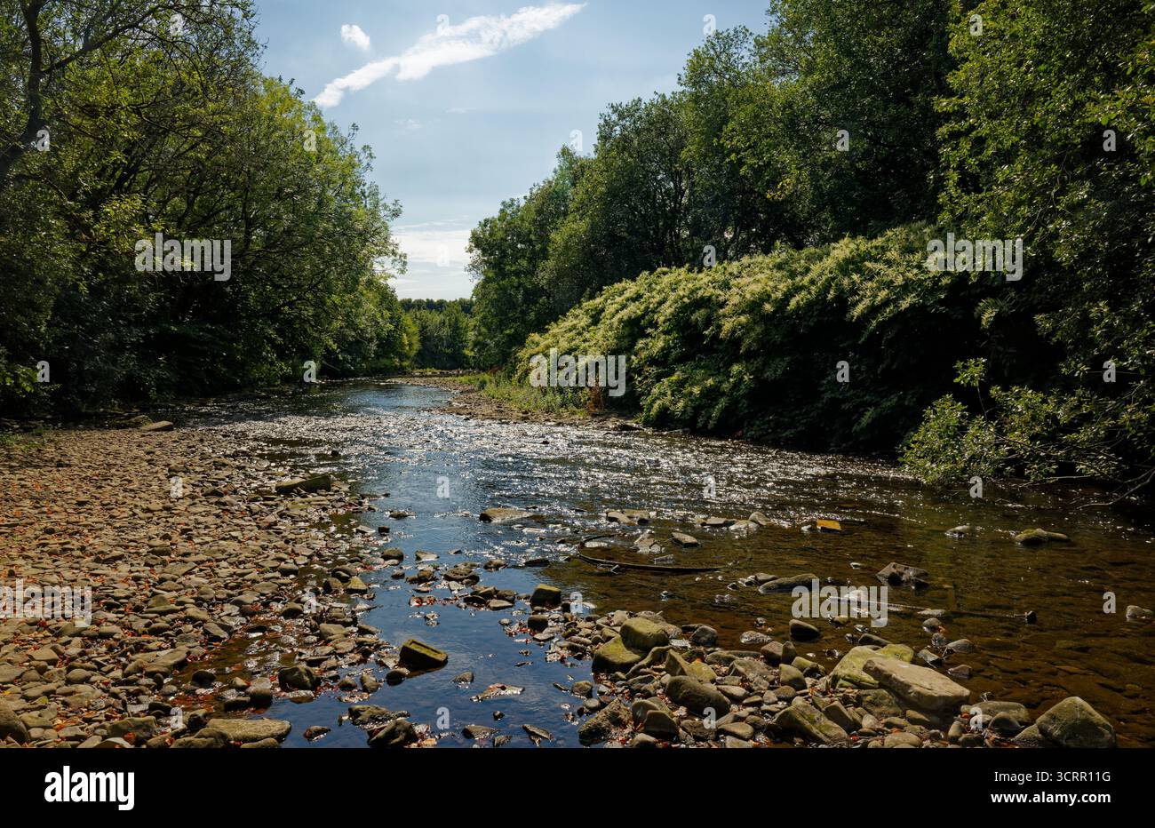 Il livello dell'acqua è basso nel fiume Irwell, in quanto passa attraverso un ambiente boscoso e una soleggiata giornata estiva vicino al centro di Bury, Greater Manchester. Foto Stock