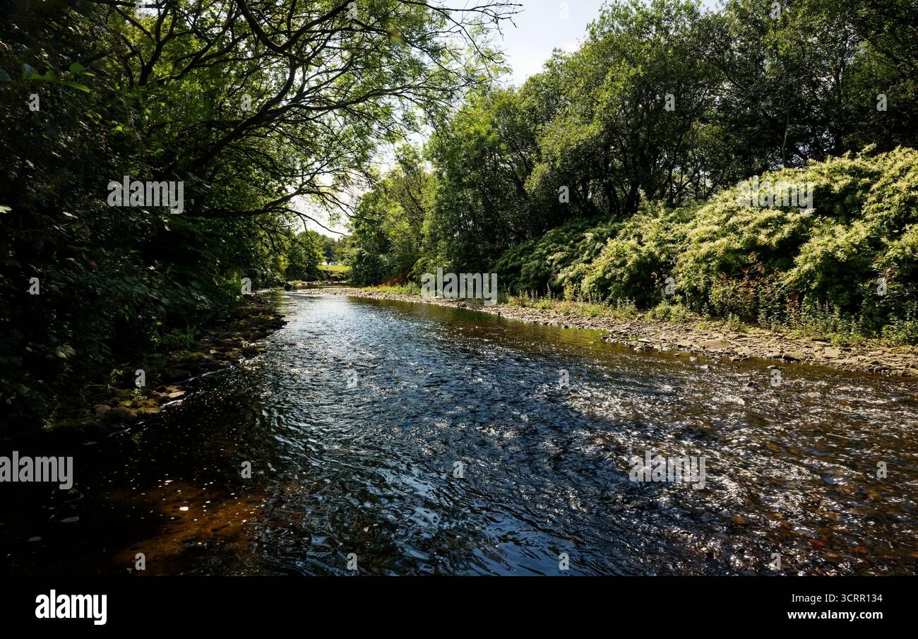 Il livello dell'acqua è basso nel fiume Irwell, in quanto passa attraverso un ambiente boscoso e una soleggiata giornata estiva vicino al centro di Bury, Greater Manchester. Foto Stock