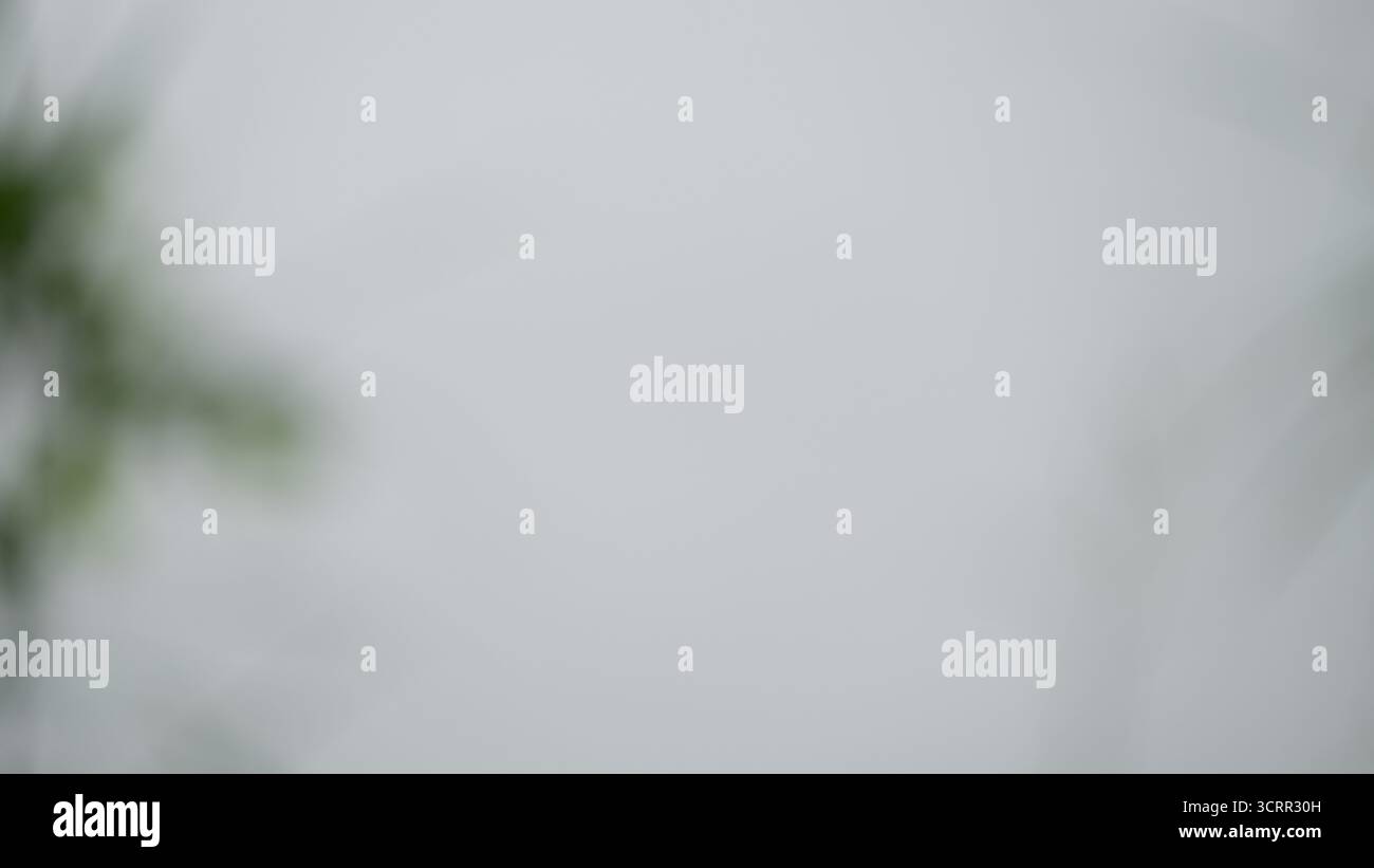 Sfondo grigio chiaro minimale astratto con una sfumatura morbida e naturale. I toni neutri e lo spazio vuoto rendono questa immagine perfetta per i designer, Foto Stock