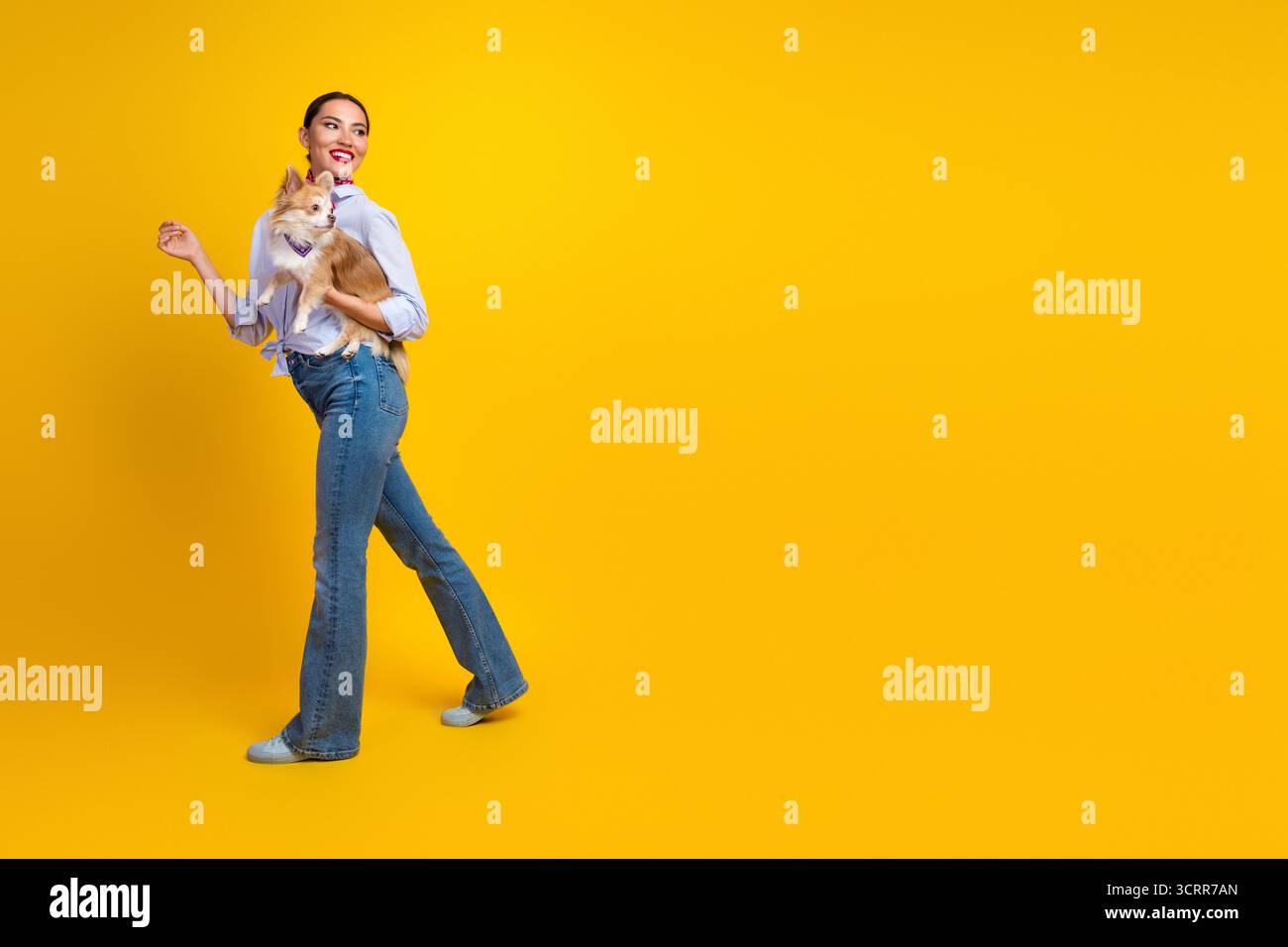 Giovane donna che tiene in mano un piccolo cane, indossa abiti casual alla moda e sorride su un vivace sfondo giallo Foto Stock
