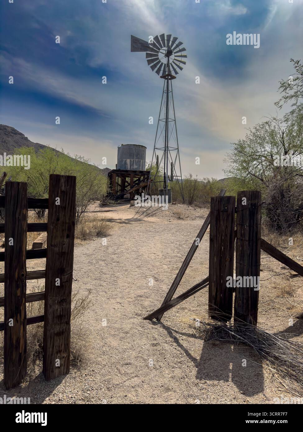 Bates Well, Organ Pipe Cactus National Monument, Arizona. Foto Stock