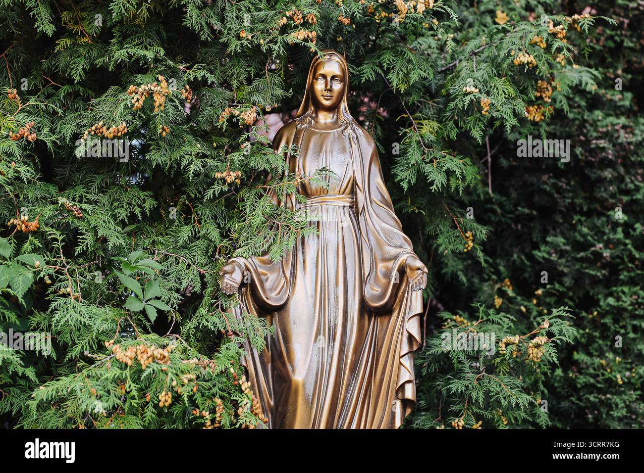 Statua religiosa della Vergine Maria circondata da piante verdi all'aperto. La fede cristiana e il concetto di decorazione spirituale del giardino in natura. Foto Stock