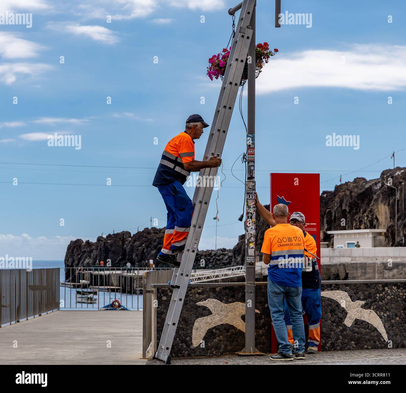 Lavoratori municipali in uniforme arancione che installano un semaforo su una passeggiata sul lungomare di Camara de Lobos Madeira utilizzando una scala Foto Stock