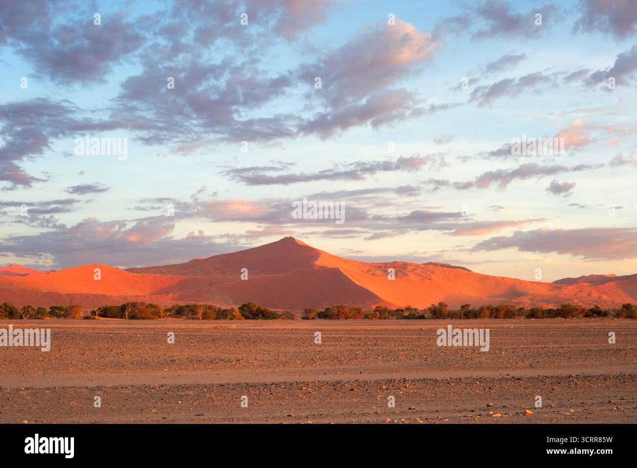 Dune di sabbia del deserto della Namibia all'alba, Sossusvlei, Namibia Foto Stock