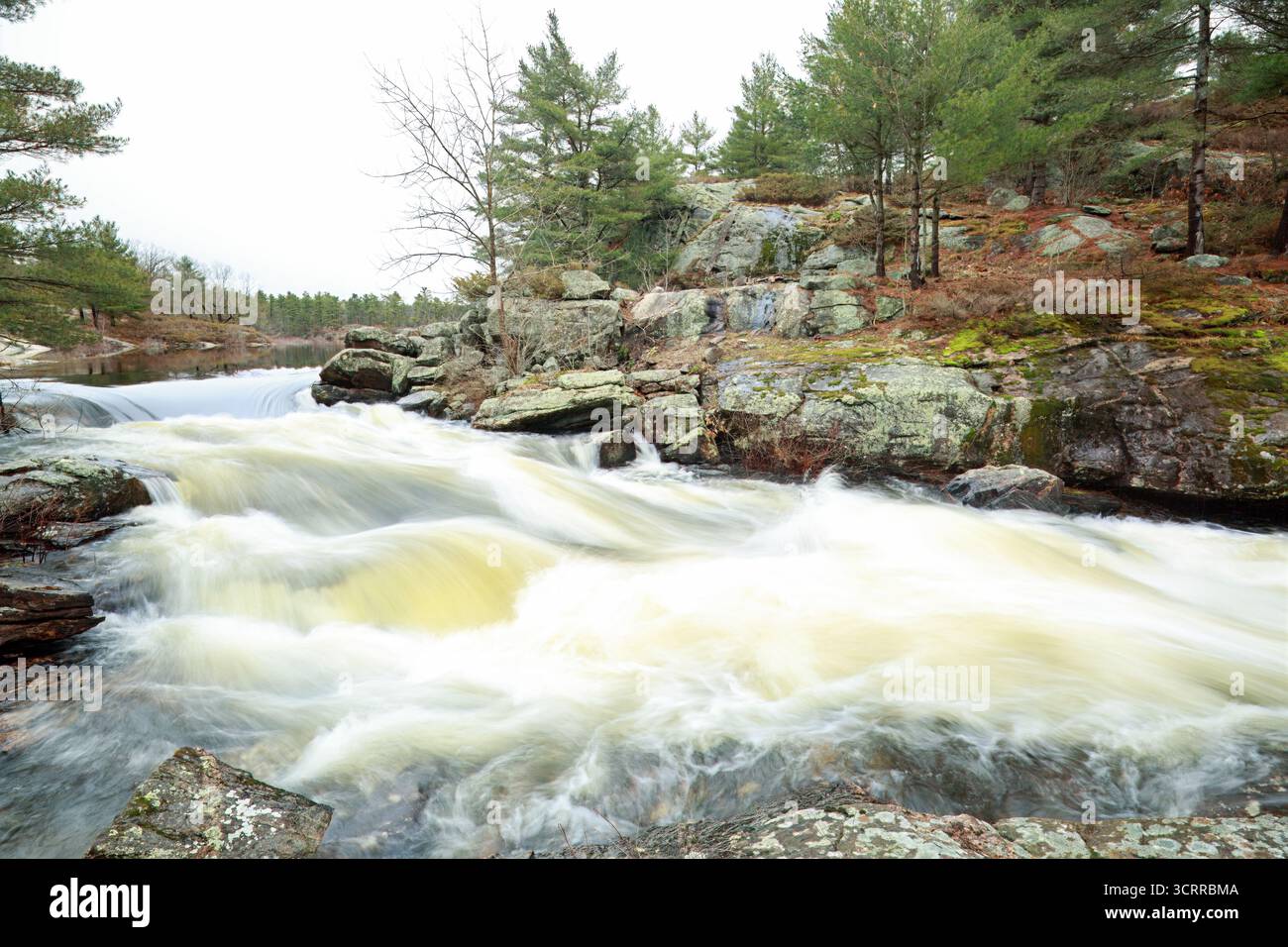 Primo piano delle rapide primaverili con il torrente che spruzza attraverso rocce granitiche nel panorama della foresta. Foto Stock