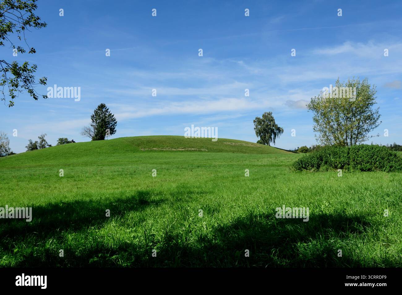 Verdi pascoli e colline boscose creano un pittoresco paesaggio estivo a Hinwil, Canton Zurigo, Svizzera Foto Stock