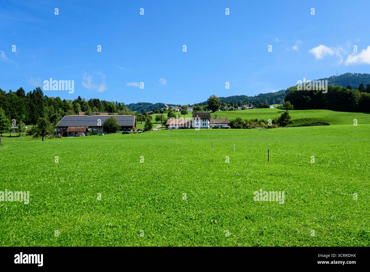 I tetti delle fattorie con pannelli solari, pascoli verdi e colline boscose creano un pittoresco paesaggio estivo a Hinwil, Canton Zurigo, Svizzera Foto Stock