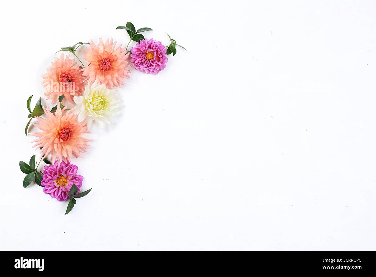 Composizione floreale autunnale, sfondo astratto piatto, concetto minimale di vacanza, giorno del Ringraziamento. Biglietto per il giorno della mamma, buon compleanno, matrimonio, pla Foto Stock