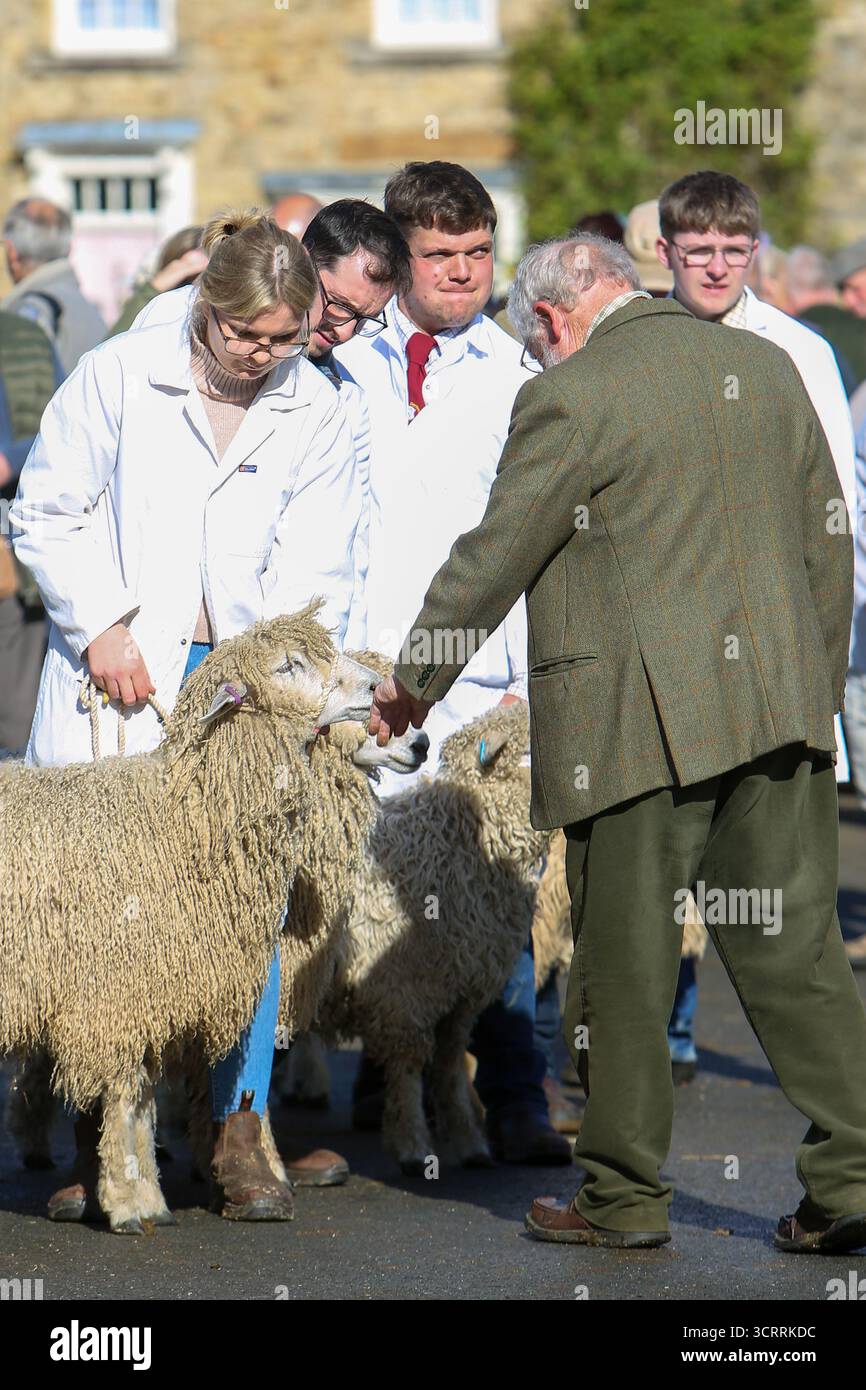 40th Masham Sheep Fair 2025, North Yorkshire, Inghilterra, Regno Unito Foto Stock