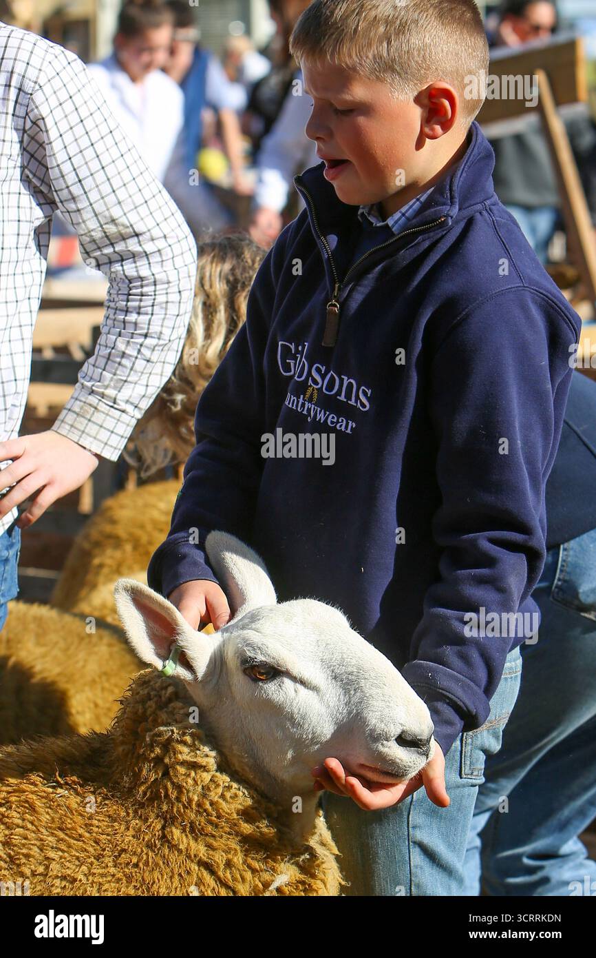 40th Masham Sheep Fair 2025, North Yorkshire, Inghilterra, Regno Unito Foto Stock