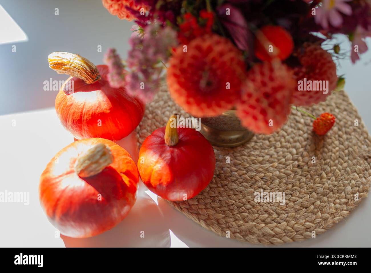 Decorazioni degli interni autunnali. Piccole zucche arancioni messe sul tavolo con fiori d'autunno pieni di dalie arancioni. Vista dall'alto. Primo piano di verdure Foto Stock
