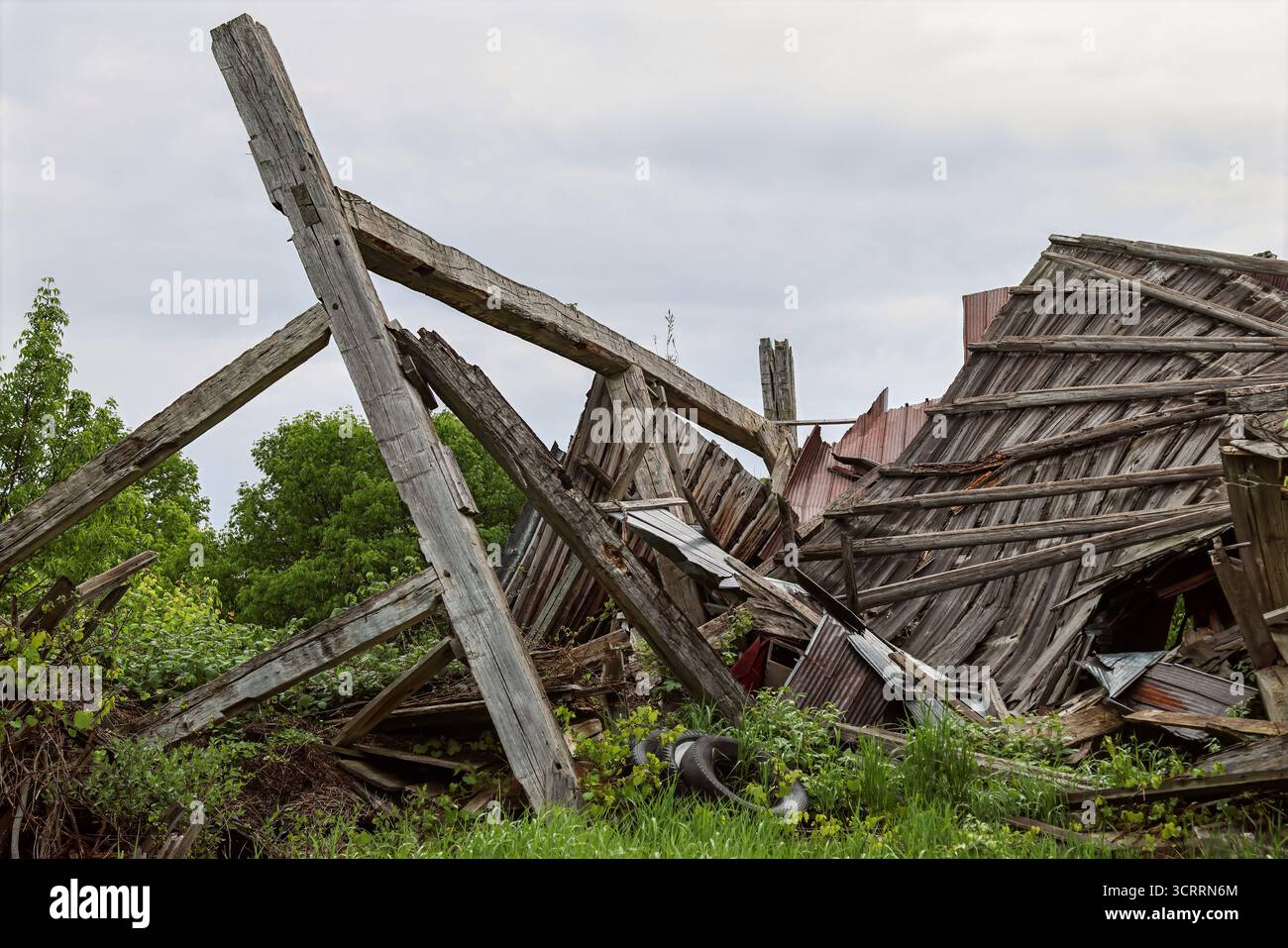 Rovine crollate di fienile in legno in un paesaggio rurale coltivato troppo. Foto Stock