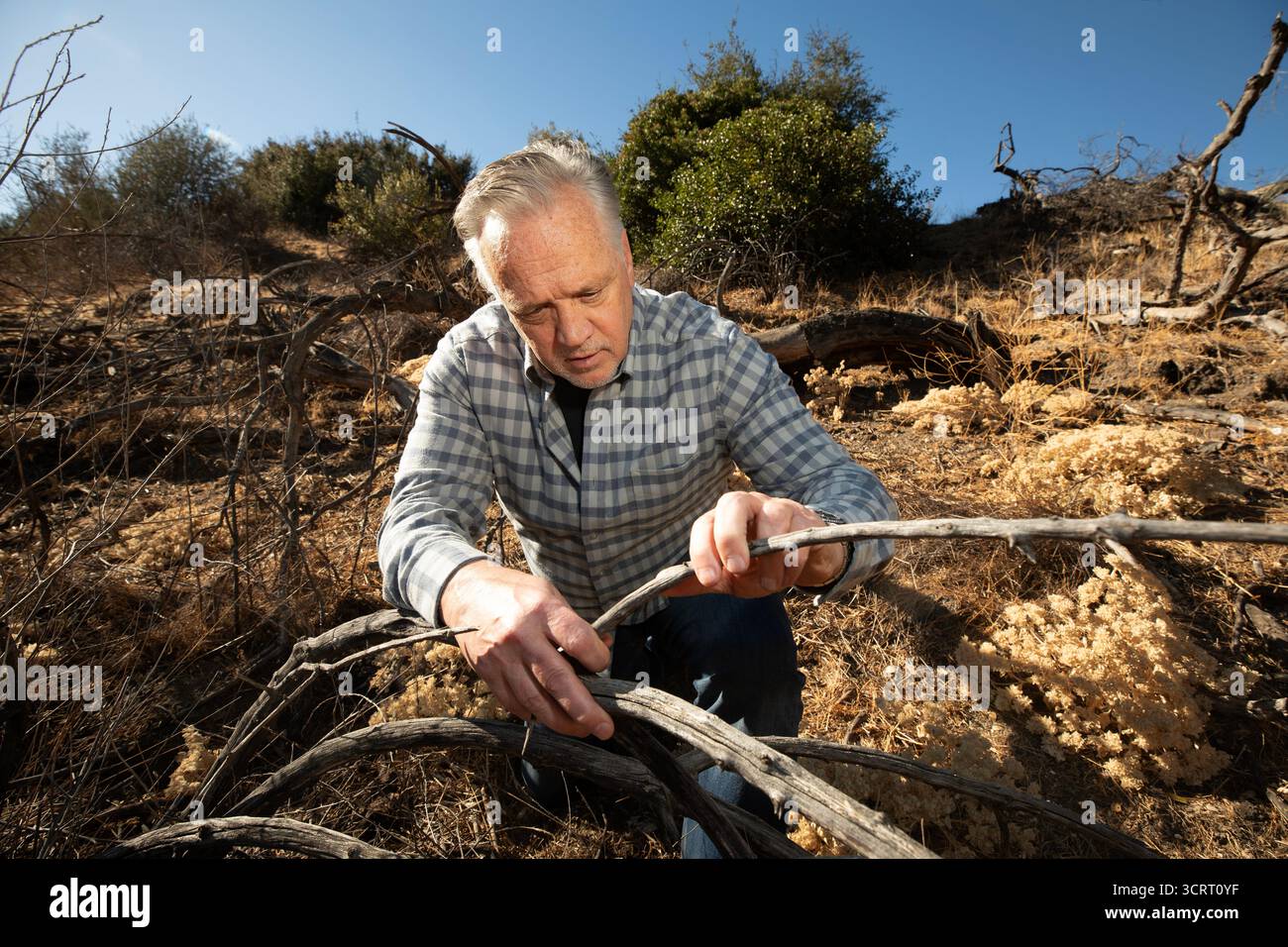 Ed Nordskog in California il 14 gennaio 2025.PIC © Dan Tuffs 2025 Foto Stock